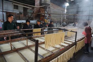 突擊檢查！欽州三家腐竹廠生產(chǎn)環(huán)境觸目驚心，衛(wèi)生狀況堪憂