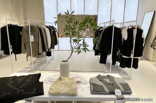 強(qiáng)勢(shì)上新 杭州四季青服裝批發(fā)市場最火秋裝檔口